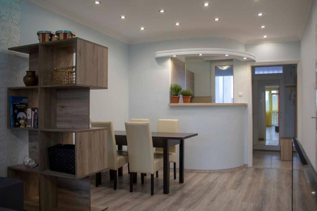 Beautiful Air-conditioned In The Centre Debrecen