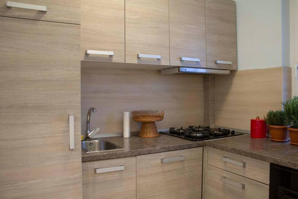 Apartment Beautiful Air-conditioned In The Centre Debrecen