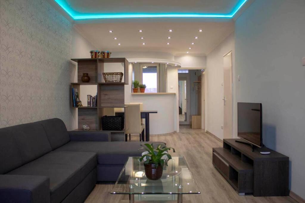 Beautiful Air-conditioned In The Centre Debrecen